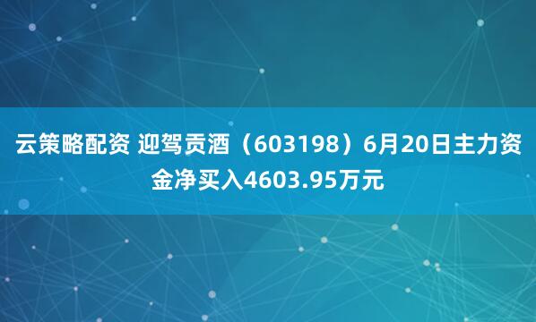 云策略配资 迎驾贡酒（603198）6月20日主力资金净买入4603.95万元