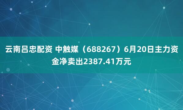 云南吕忠配资 中触媒（688267）6月20日主力资金净卖出2387.41万元