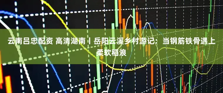 云南吕忠配资 高清湖南丨岳阳云溪乡村游记：当钢筋铁骨遇上柔软稻浪